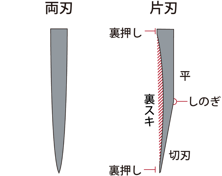 片刃包丁と両刃包丁の違い